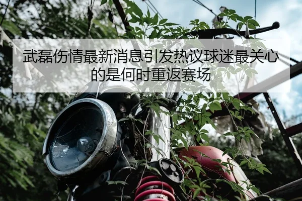 武磊伤情最新消息引发热议球迷最关心的是何时重返赛场
